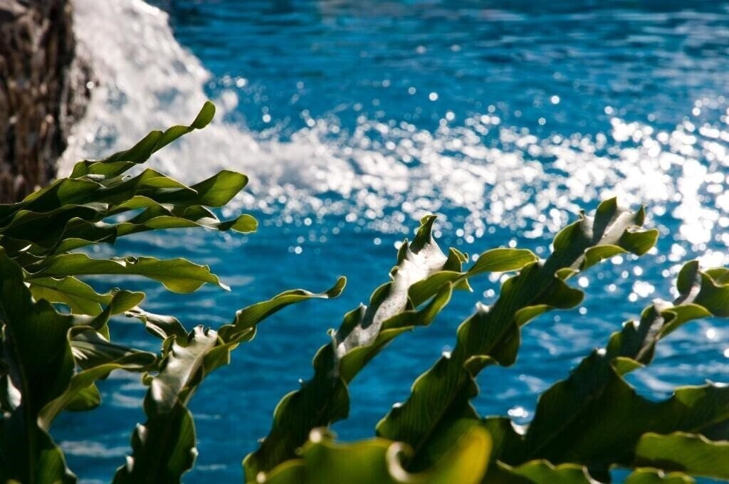Панорама Piramides Resort 3*