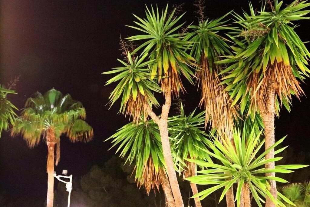 Панорама Villa Columbus 2*