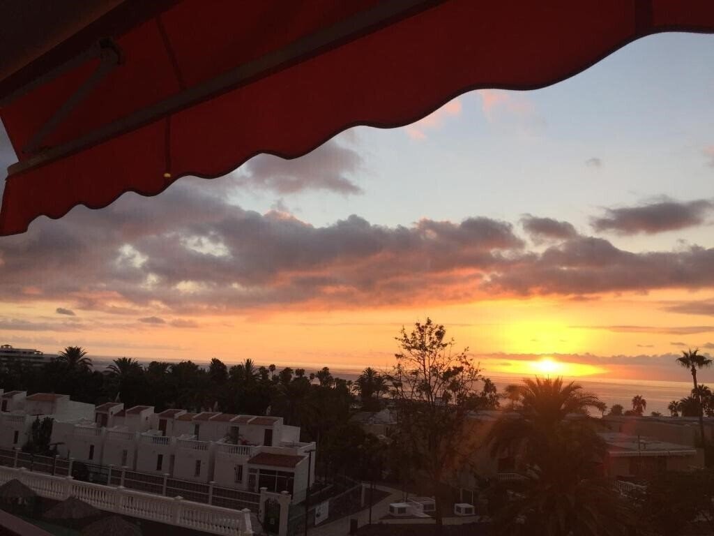 Панорама Olympia Apt 3*