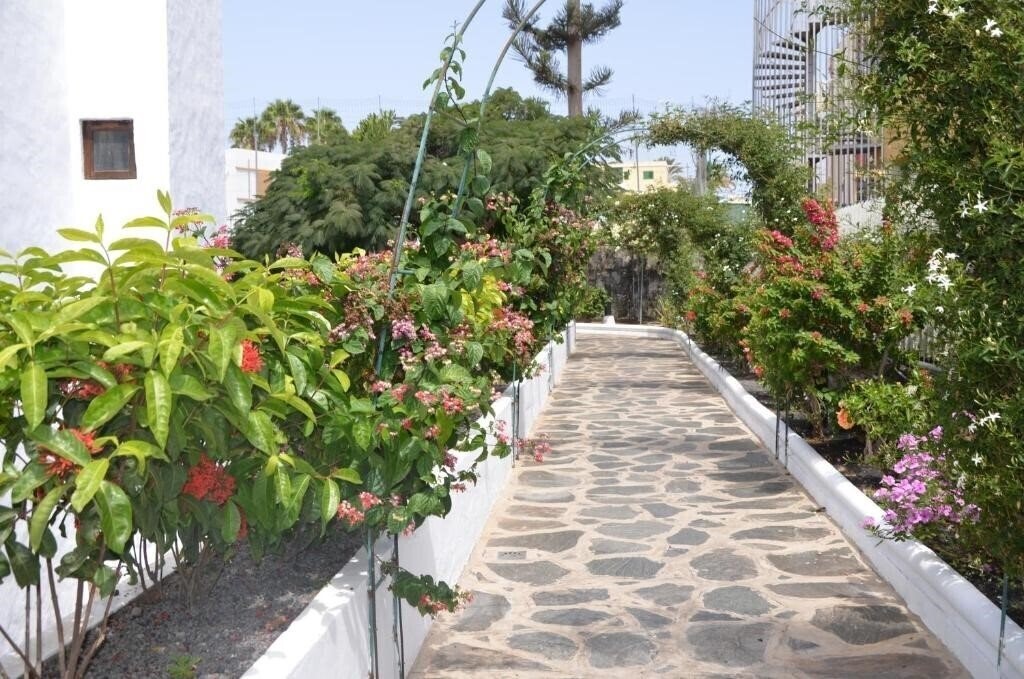 Панорама Alsol Las Orquideas 2*