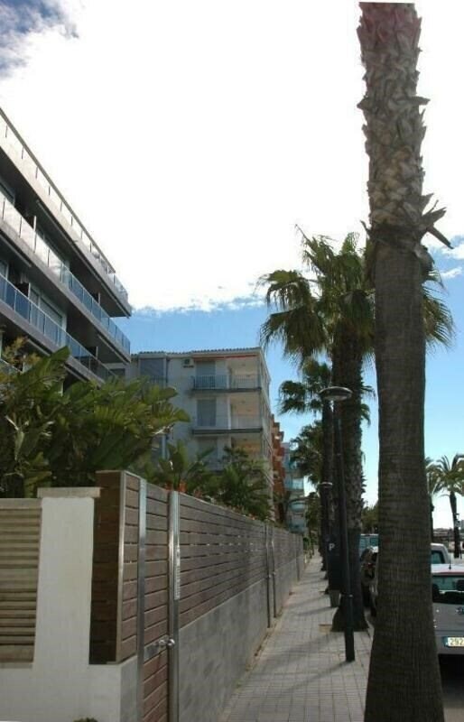 Зображення Palmas 7 Apt 3*