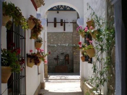 Фото Hacienda Minerva 4*