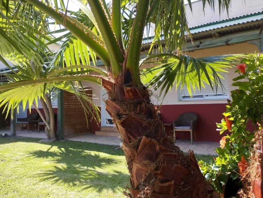 Готель Casablanca El Petit Hotel 3*