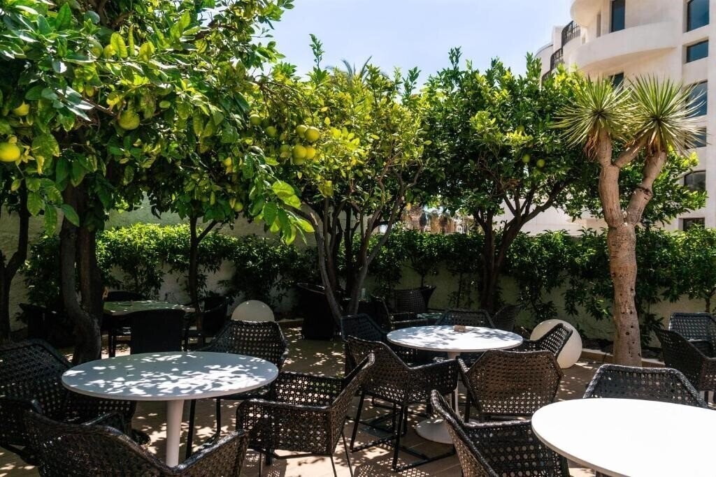 Панорама Coral California 4*