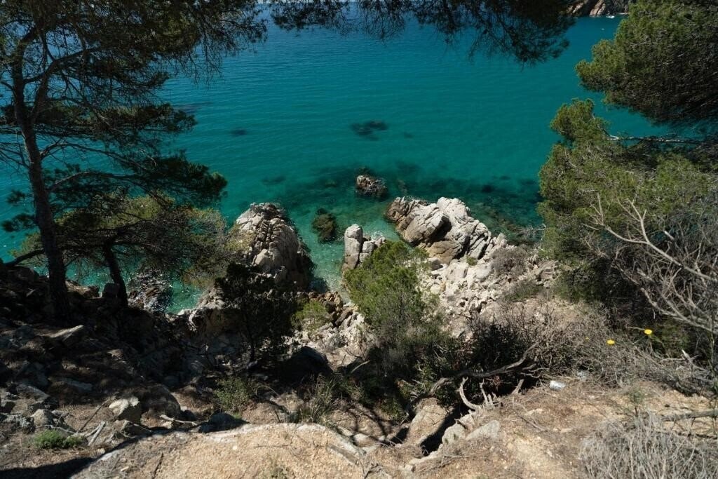 Панорама Cala Llevado 4*