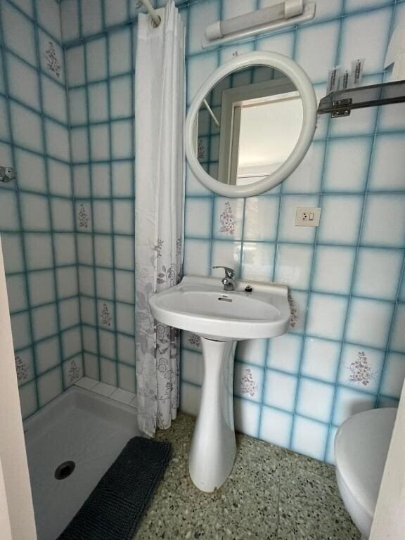 Вид Maria Rosa 1*