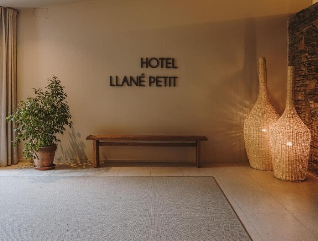 Изображение Hotel Llane Petit 3*