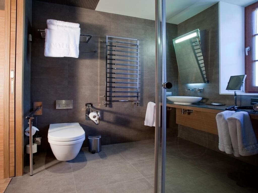 Апартаменты Apartaments Vall De Nuria (ex. Hotel Vall de Nuria, Hotel & Apartaments Vall de Nuria) 3*