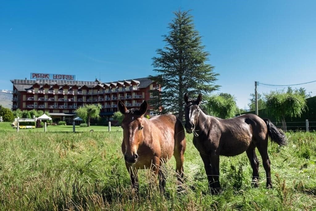 Територія Park Hotel Puigcerda & SPA 3*