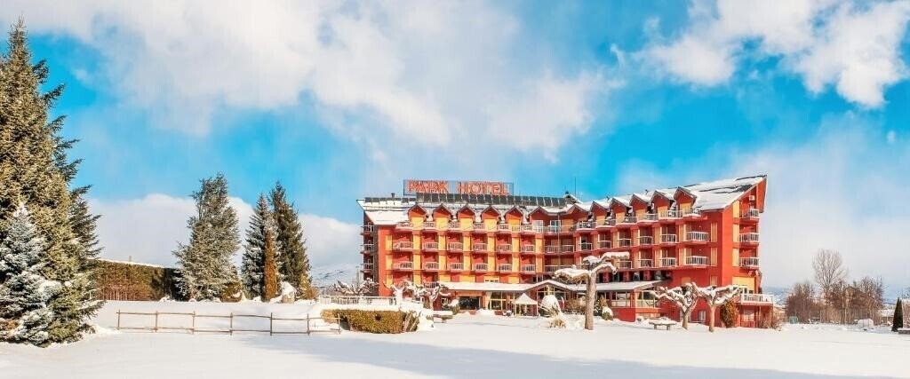 Вид Park Hotel Puigcerda & SPA 3*