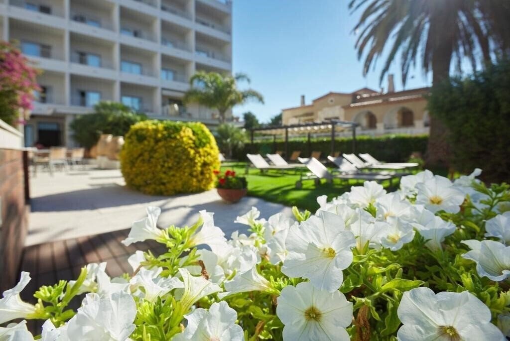 Територія Hotel Terraza 4*