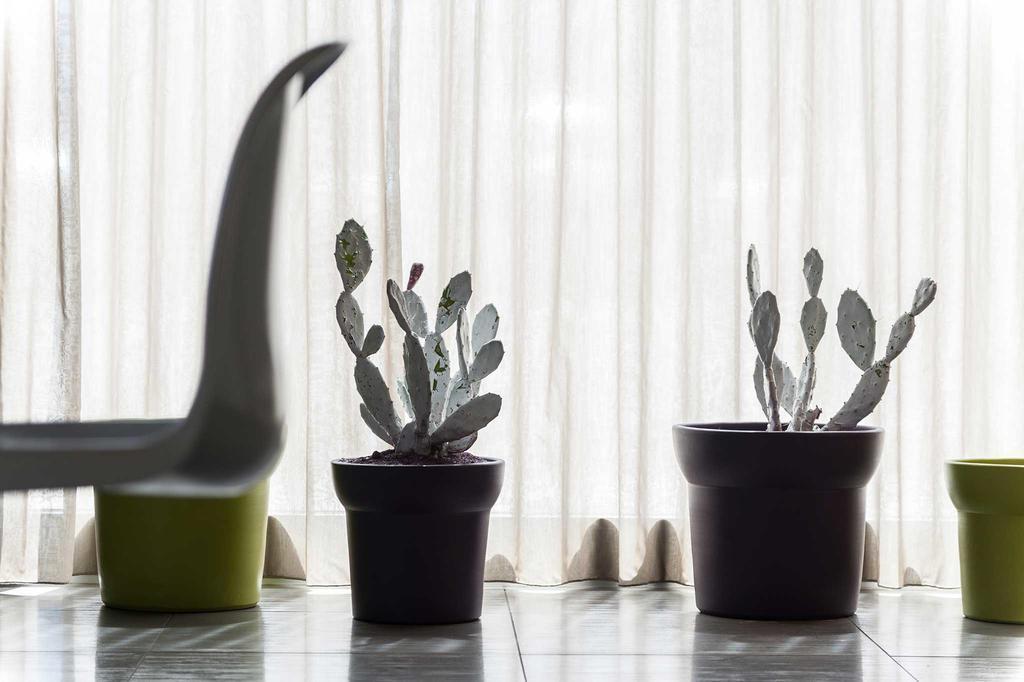 Фотографія 8Piuhotel (ex. 8 Piu Hotel) 4*