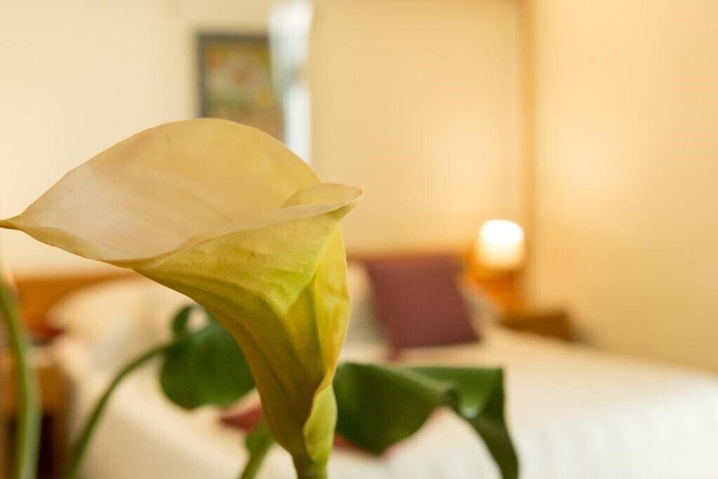 Територія Best Western Hotel Dei Cavalieri 4*