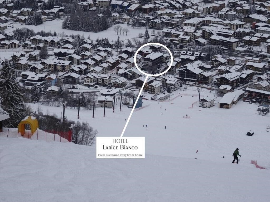 Панорама Larice Bianco 3*