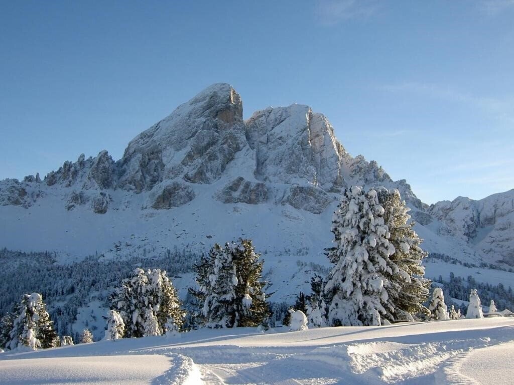 Апартаменты Putia 3*