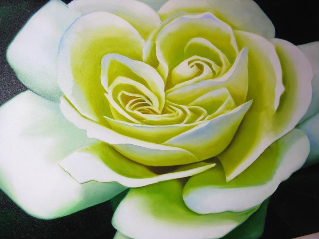 Апартаменти Diva 3*