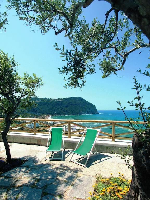 Вид Parco San Marco (Forio) 4*