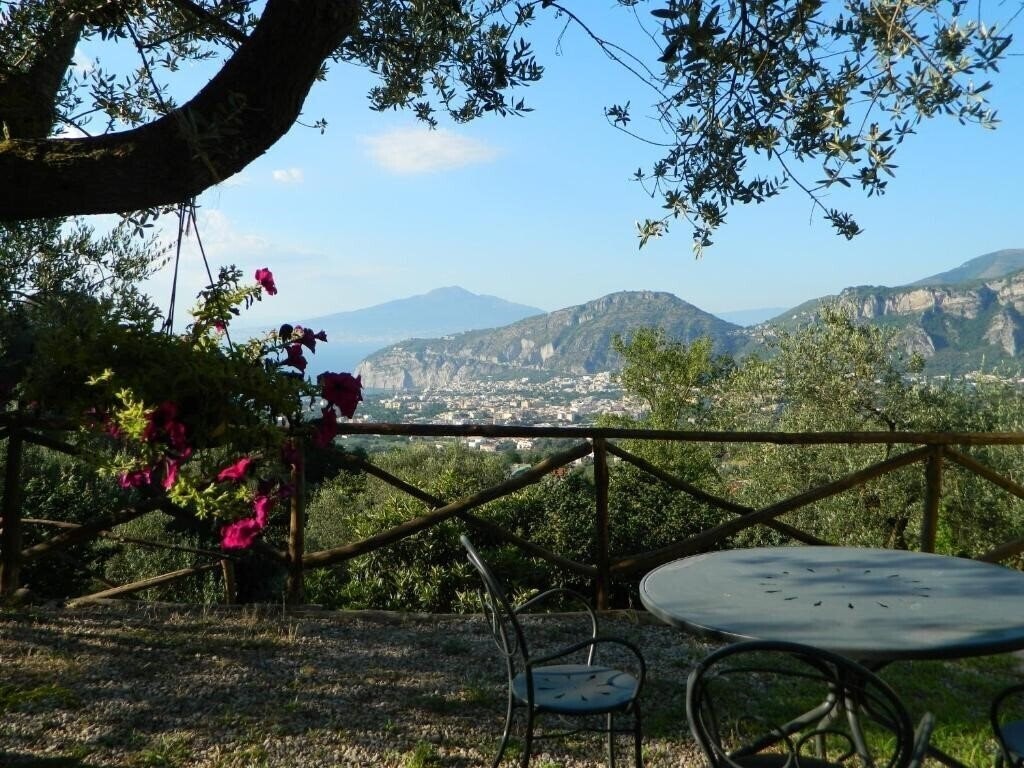 Панорама Hotel Gli Ulivi 3*