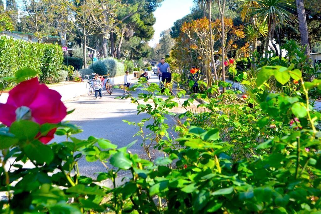 Панорама Italy Village (ex. La Serra Holiday Village & Beach Resort, La Serra Resort Italy Village) 4*