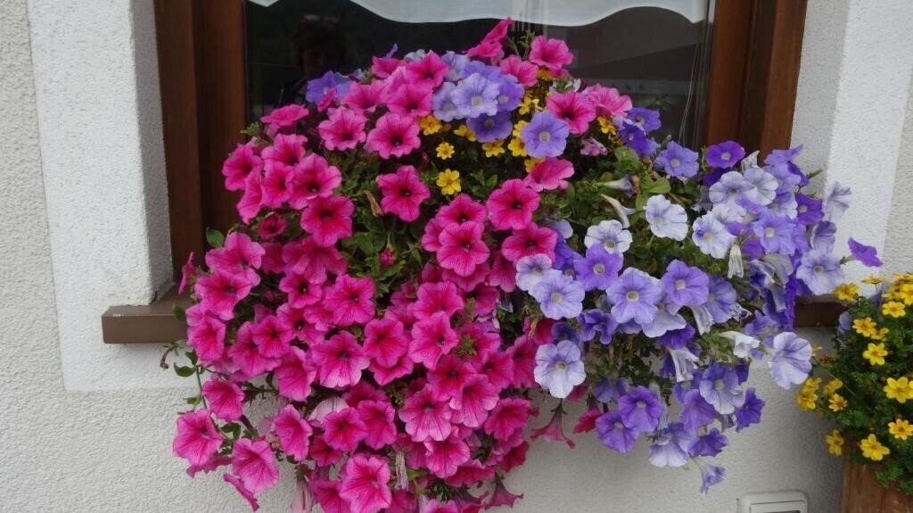 Панорама Garni Gimea 2*