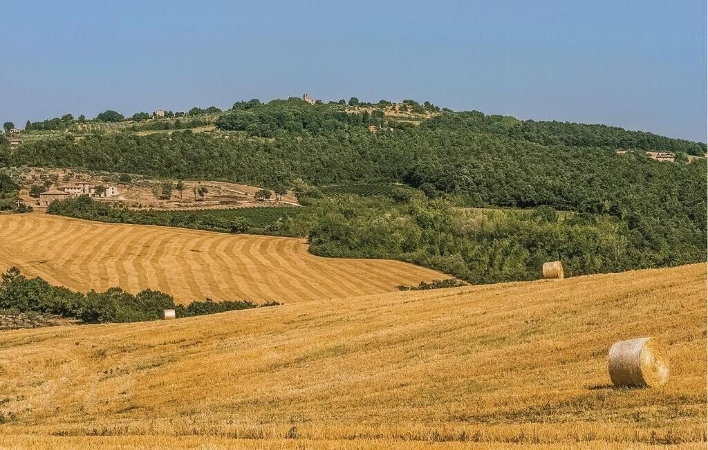 Апартаменти Ilaria 4*