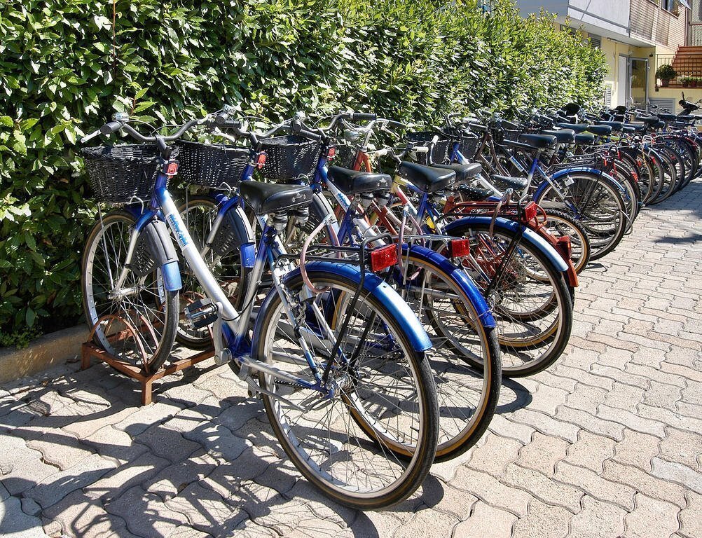 Апартаменти Domingo Hotel (San Benedetto Del Tronto) 3*