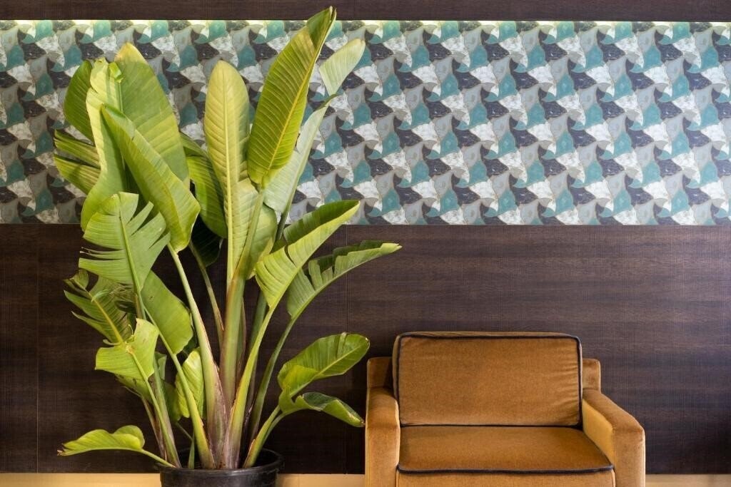 Панорама American Hotel 4*