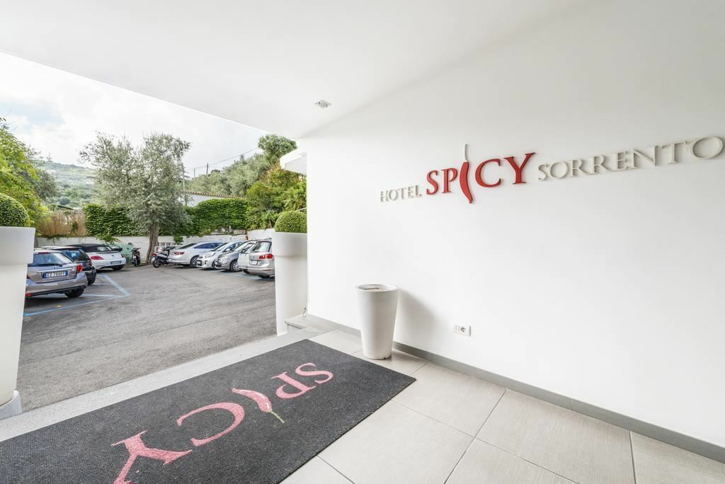 Панорама Spicy 3*