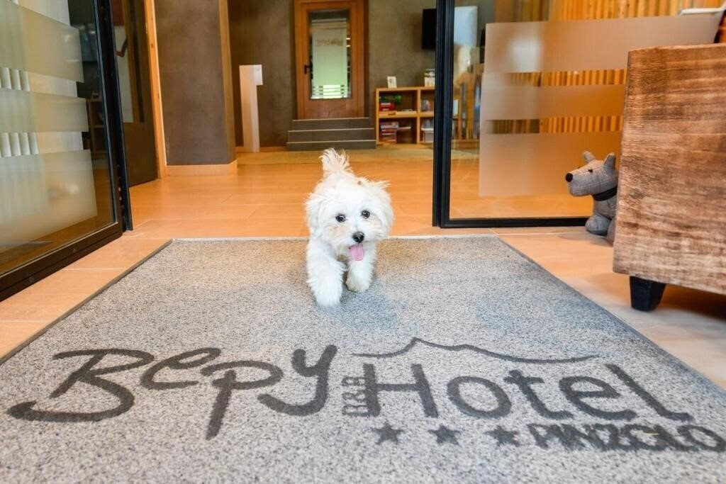 Апартаменты Bepy 3*