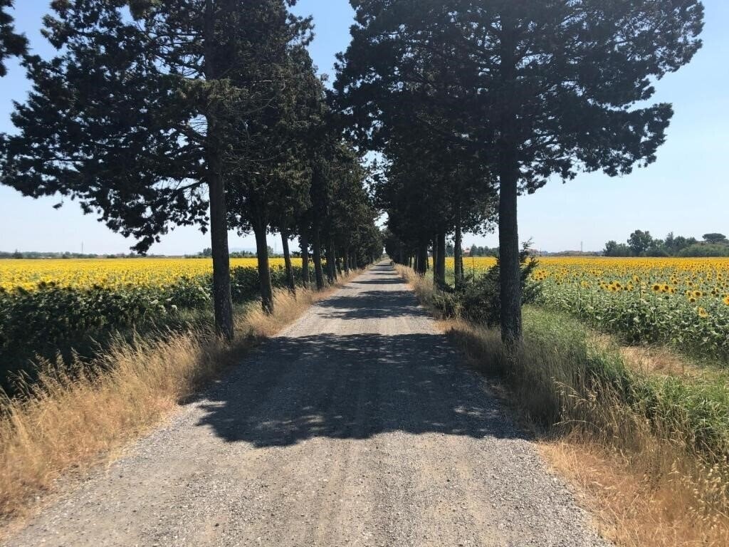 Апартаменти Airone Pisa Park 3*