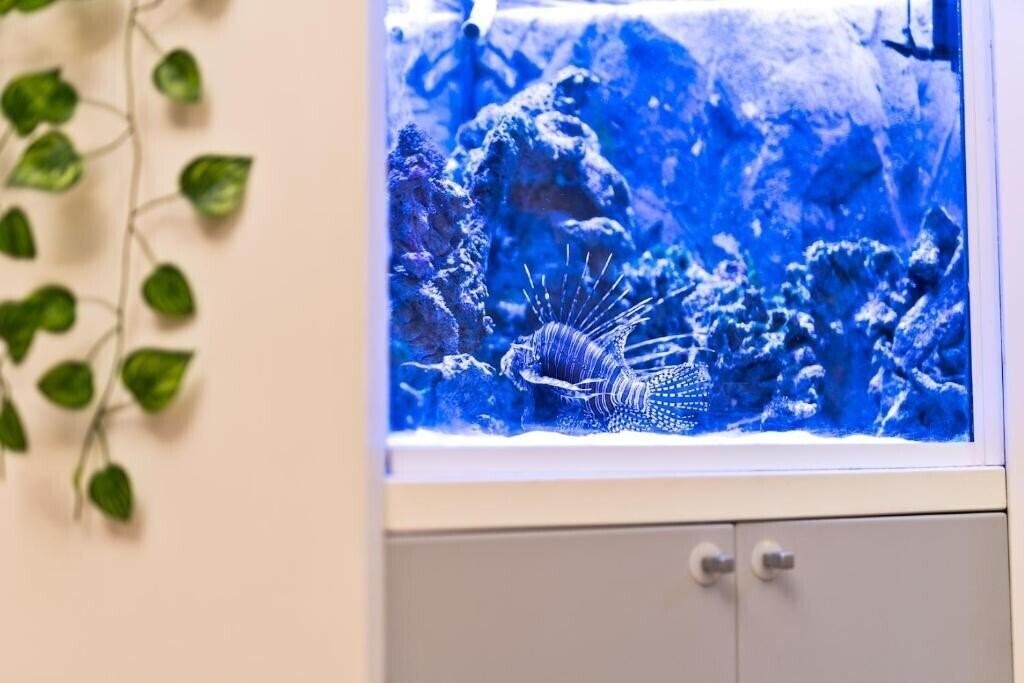 Территория Cairoli 4*