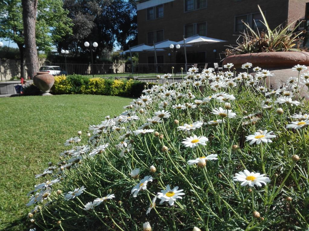 Панорама Kolping Hotel Casa Domitilla 3*