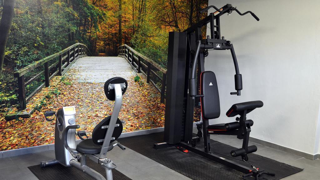 Вид Park Hotel Ginevra 3*