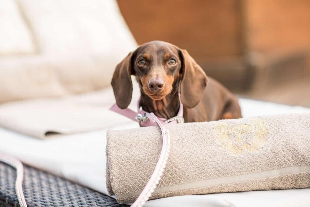 Апартаменты Waldorf 5*