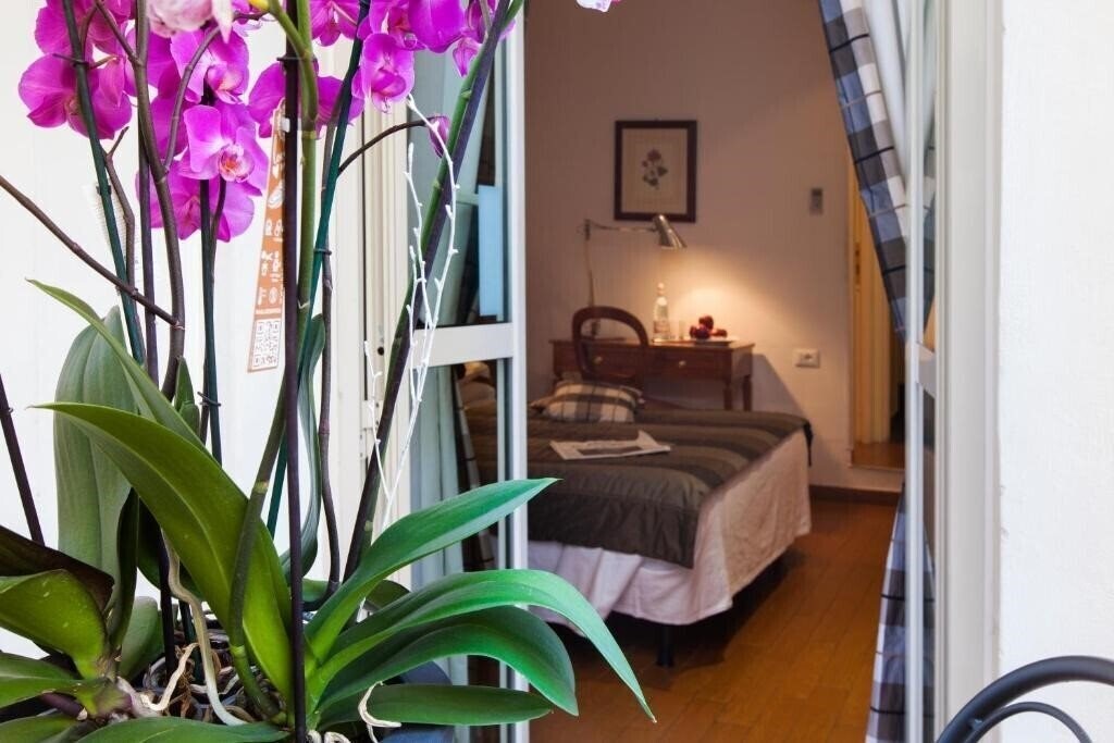 Панорама De Petris 3*