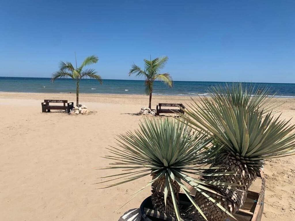 Панорама Berenice 3*