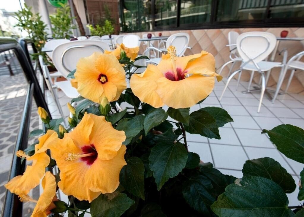 Панорама Hotel Scarlet 3*