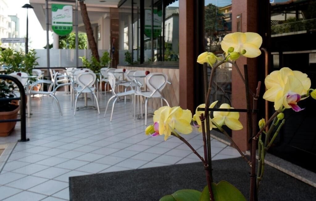 Вид Hotel Scarlet 3*