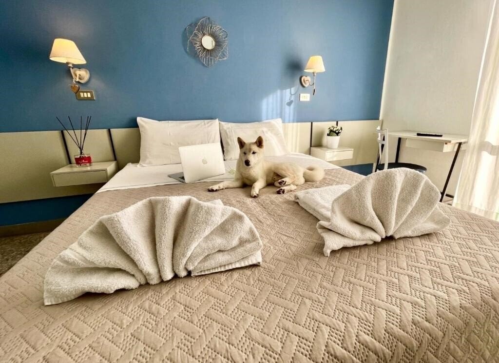 Вид Hotel Alfa 2*