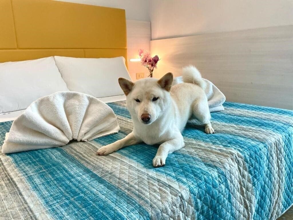 Апартаменты Crystal 3*