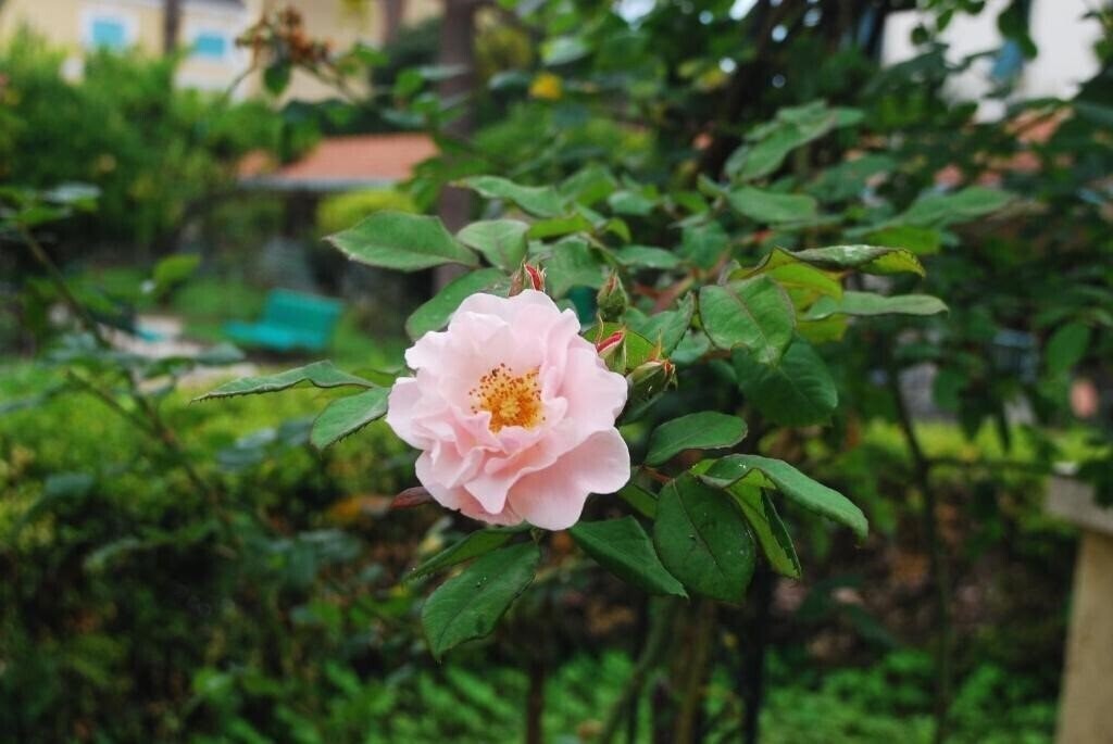 Панорама Villa Sophia 3*