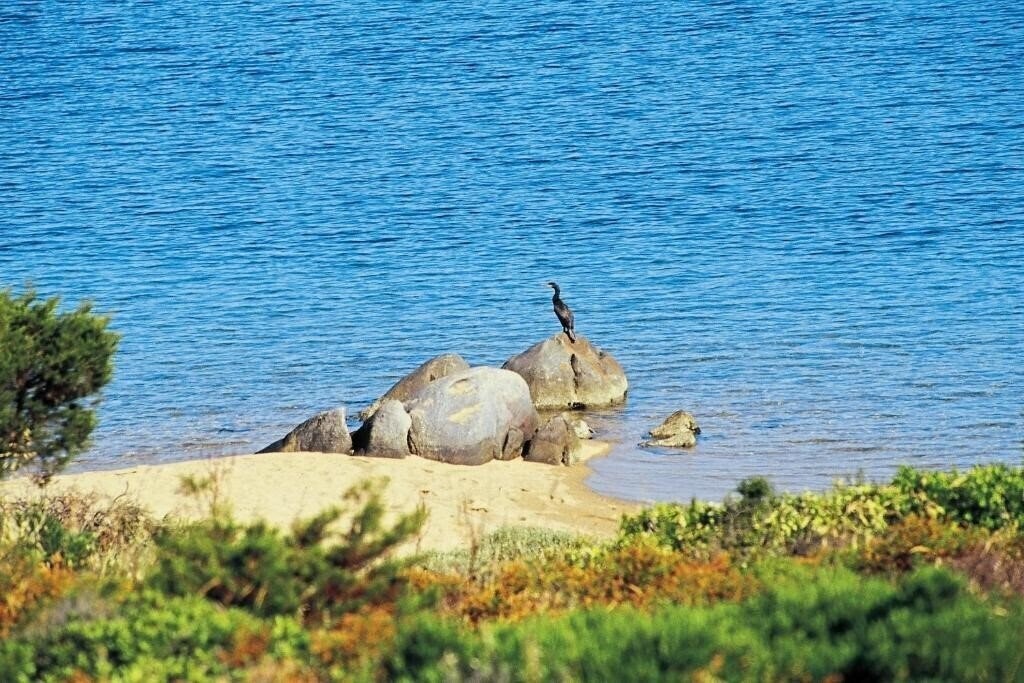 Панорама Igv Club Santa Clara (Palau) 4*