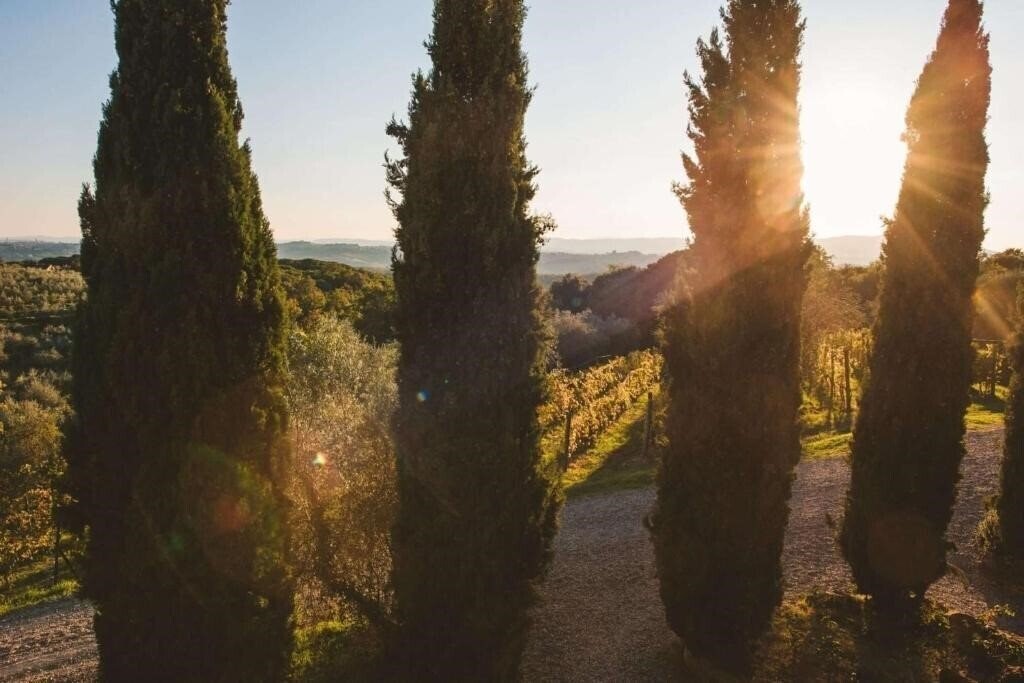 Панорама Fattoria Di Corsignano 3*