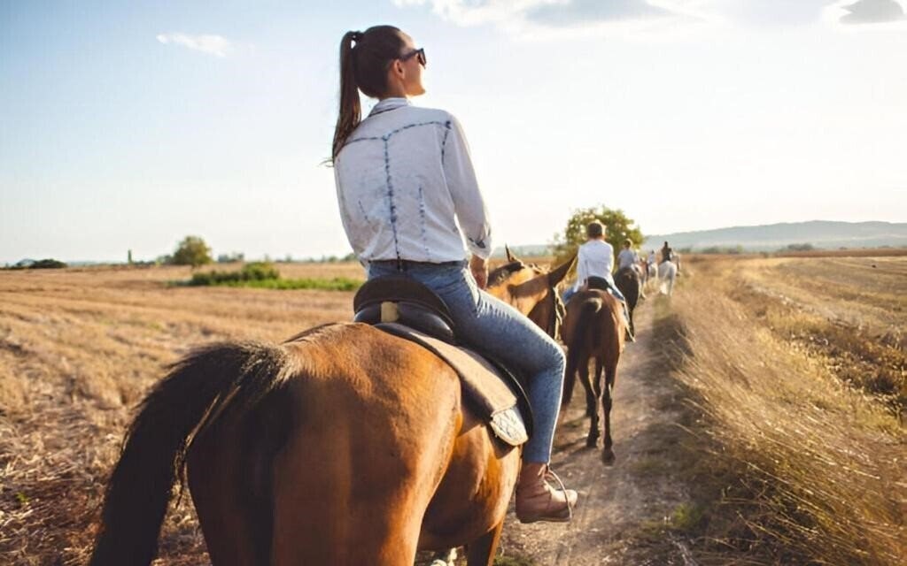 Фотографія Abbadia Sicille 4*