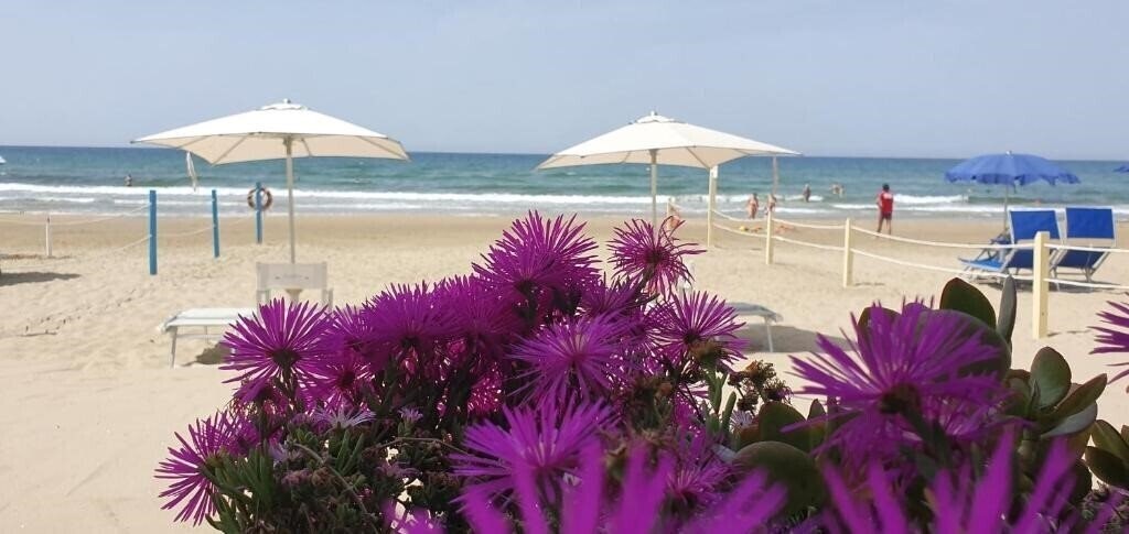 Территория Aurora 4*