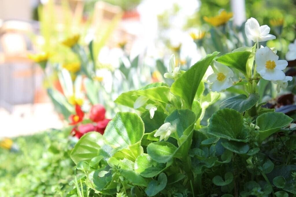 Зображення Mare Azzurro 3*