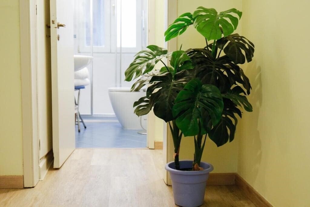 Фотографія Locanda Barbarigo Venezia 1*