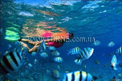 Вид Comfort Eilat Hotel (ex. Arcadia Spa) 3*