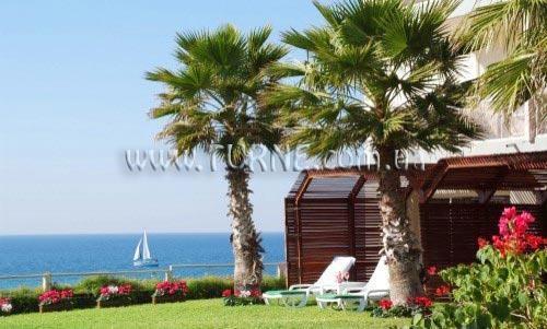 Территория The Sharon 4*