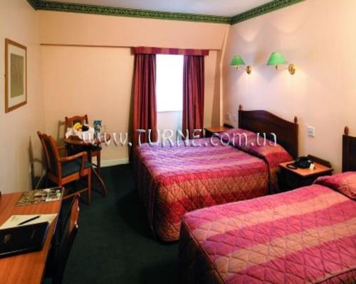 Готель The Olive Tree 4*